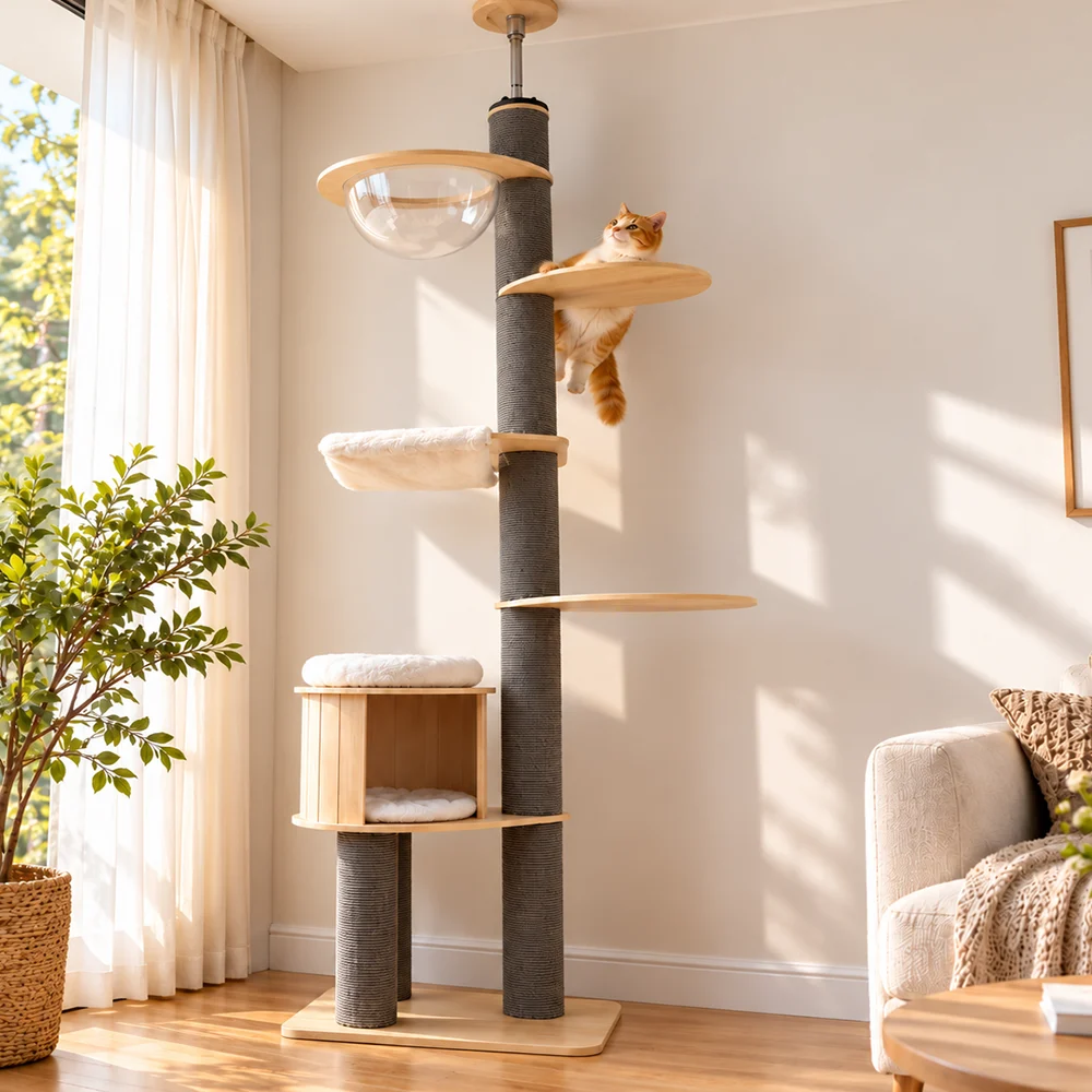 Cat climbing pillar